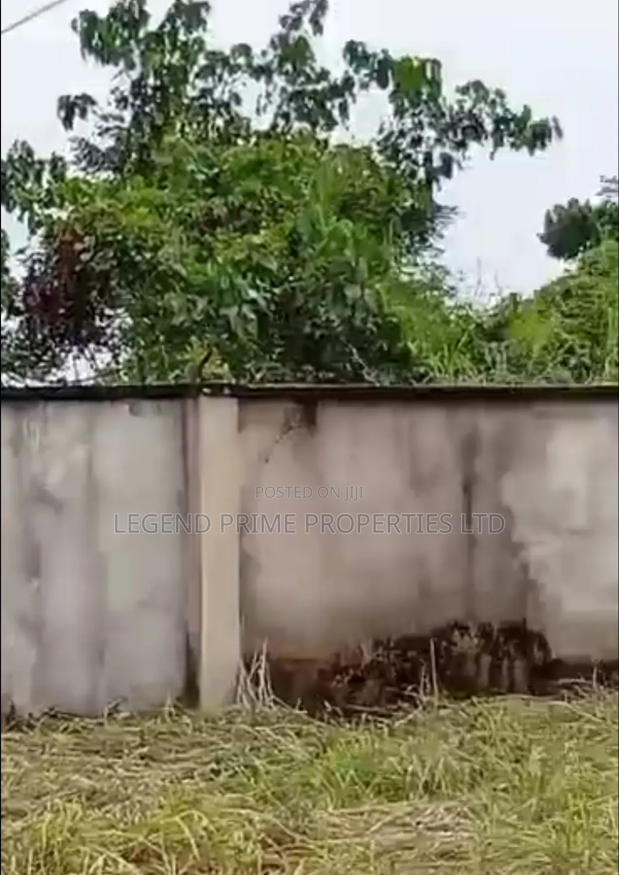 Two Standard Plot of Land for Sale