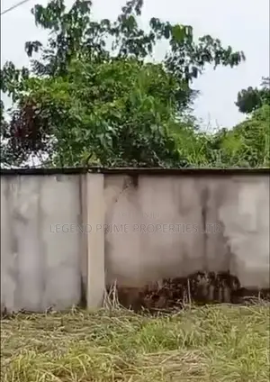 Two Standard Plot of Land for Sale