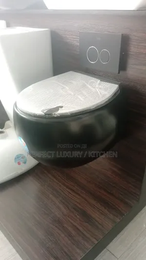 Black Lavida Round Wall Hang Concealed W C Water Closet 