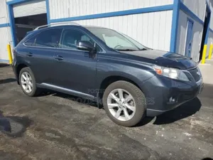 Lexus RX 350 2010 Gray