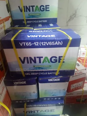 Inverter Battery 65a