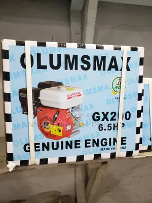 Olumsmax Gx200 6.5hp Grinding Machine
