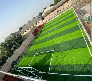 Build a World-Class Football Arena in Your Compound
