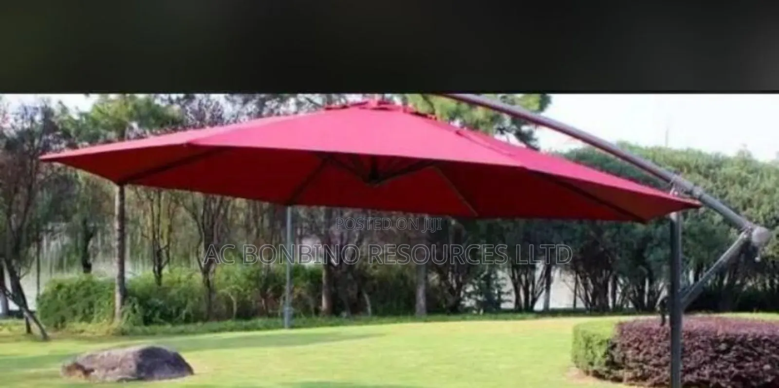 Umbrella for Garden and Events