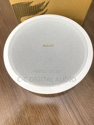 Lucky Tone Passive Ceiling Speaker