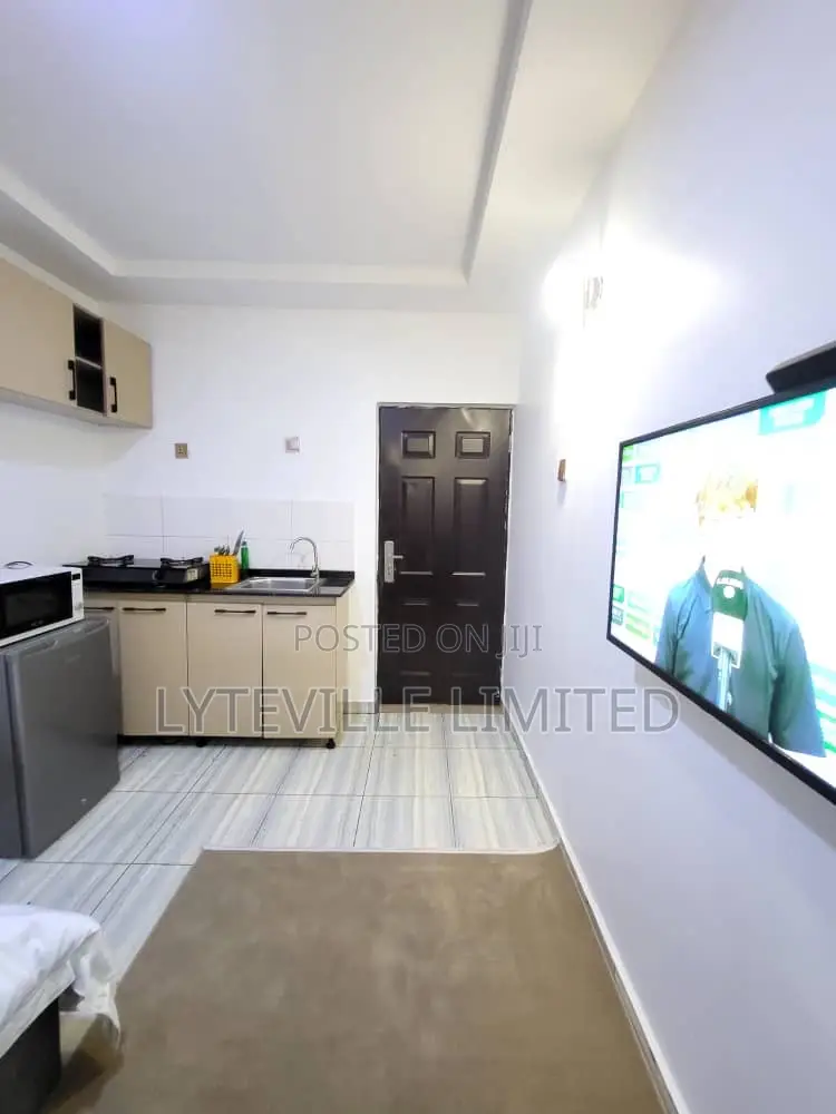 Neat Studio Apartment