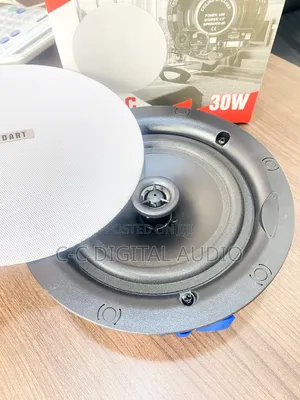 30watts Dart Ceiling Speaker
