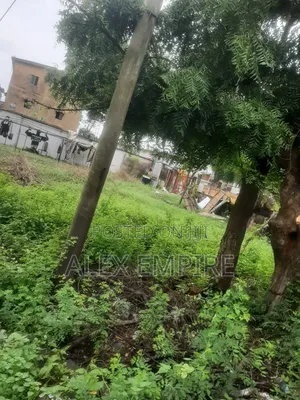 Land for Sale in Amuwo Close to Shoprite
