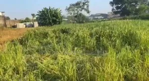 Out in the Market, Land for Sale* Land Size: *2018 Sqmtrs*