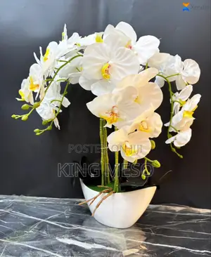 Table Flower Available
