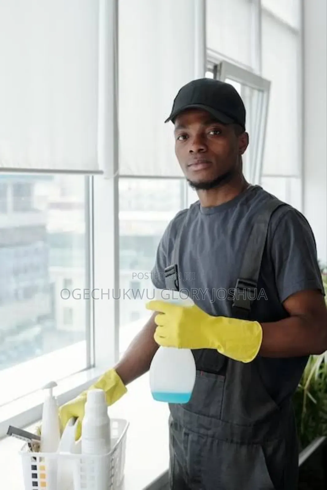 Professional Cleaning Services
