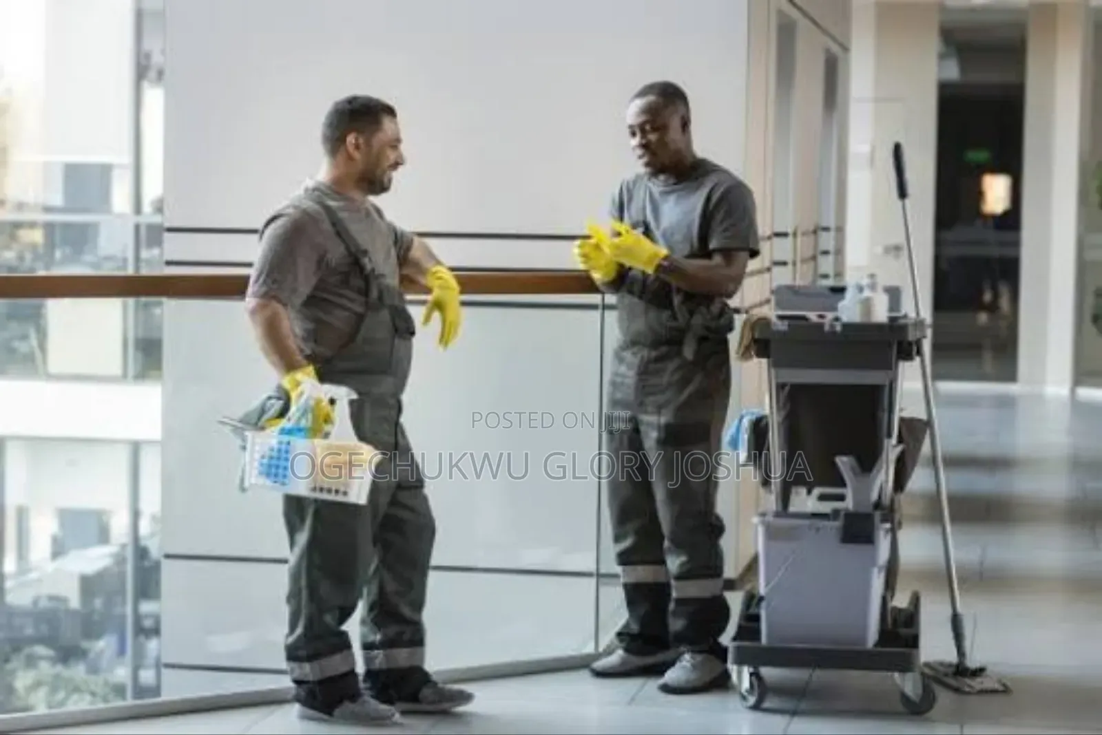 Professional Cleaning Services