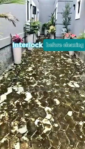 Interlock Pressure Washing/ Cleaning
