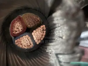 150mmx4core Coleman Armored Cable