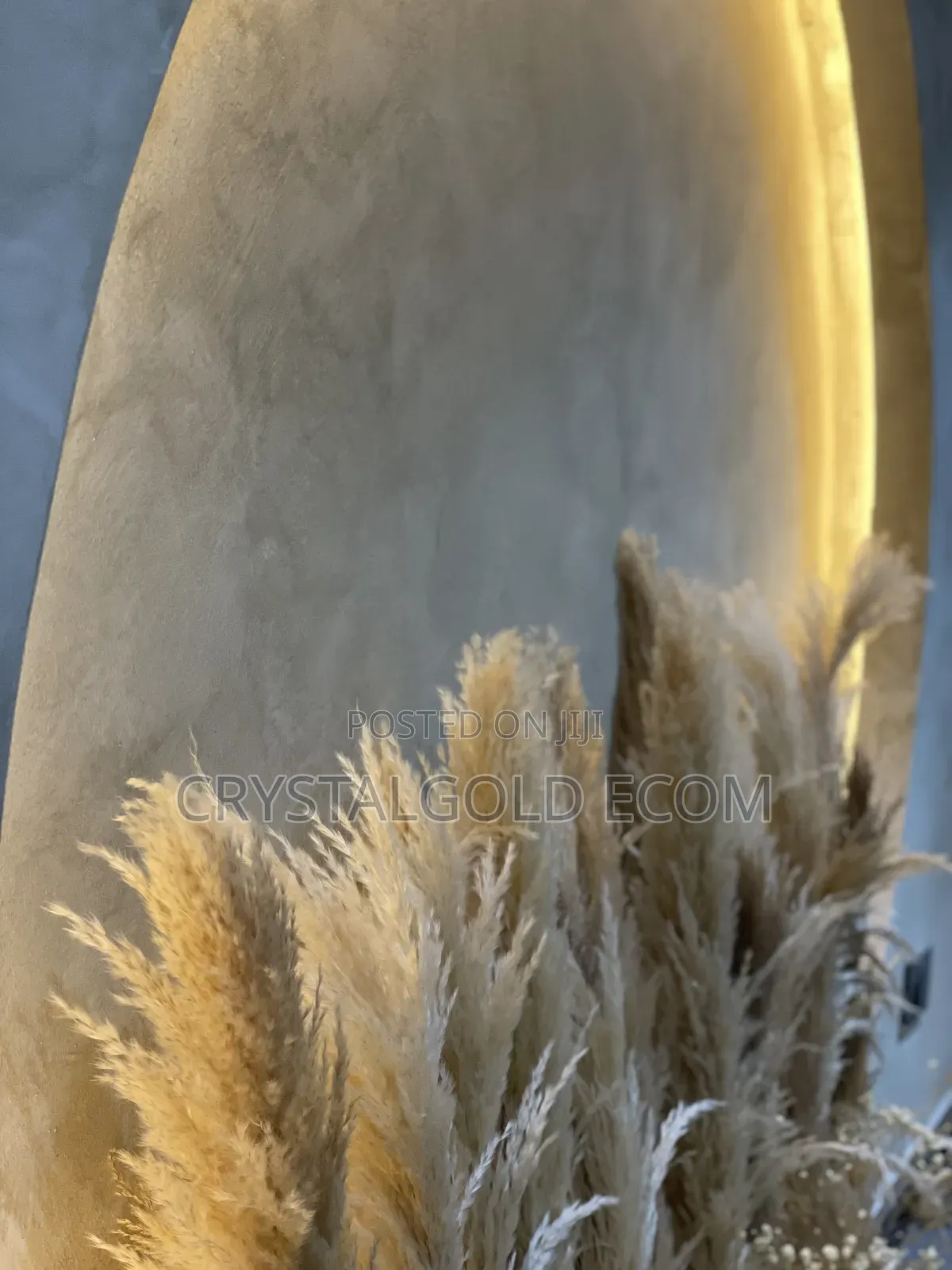 Limewash Paint Application