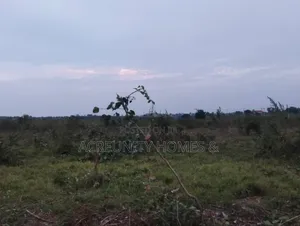 3 Acres Of Farmland For Sale – Km 5, Iseyin–Ogbomoso Road, Oyo State
