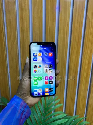 Apple iPhone 12 Pro Max 256 GB Blue