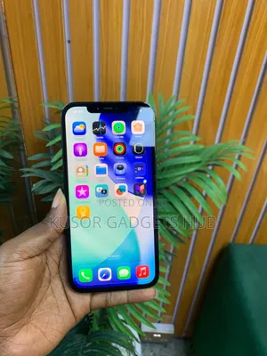 Apple iPhone 12 Pro Max 256 GB Blue