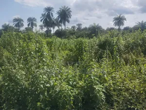 One Plot of Land–Beside Civil Defence Office–Lautech Campus Okeho Road
