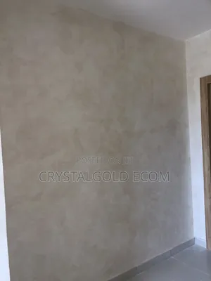 Limewash Painter in Abuja