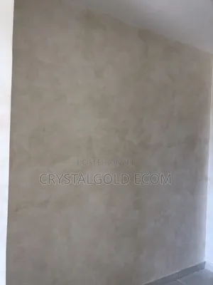 Limewash Painter in Abuja