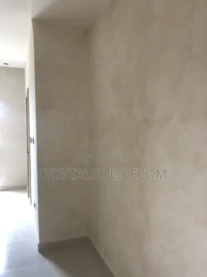 Limewash Painter in Abuja