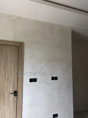 Limewash Painter in Abuja