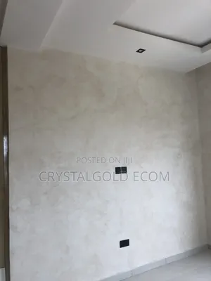 Limewash Painter in Abuja