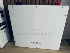 Dyness Lithium Batteries