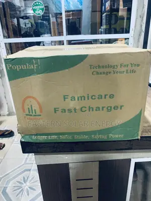 Famicare Battery Charger
