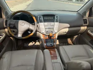 Lexus RX 330 2005 Gray