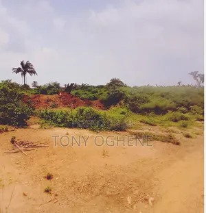 Plots Acres of Land for Sale in Issele-Mkpetime, Asaba