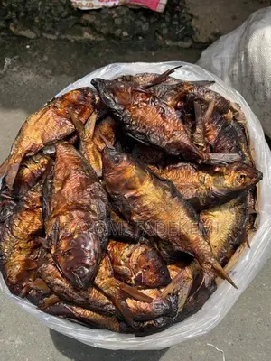 Bonga Fish