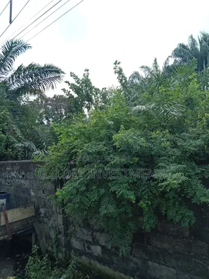 Land for Sale at Giveaway in Ago Palace Way