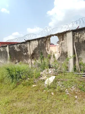 Full Plot of Land for Sale at Ago Palace Way
