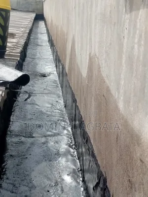 Clinician Roof-Waterproofing Expert