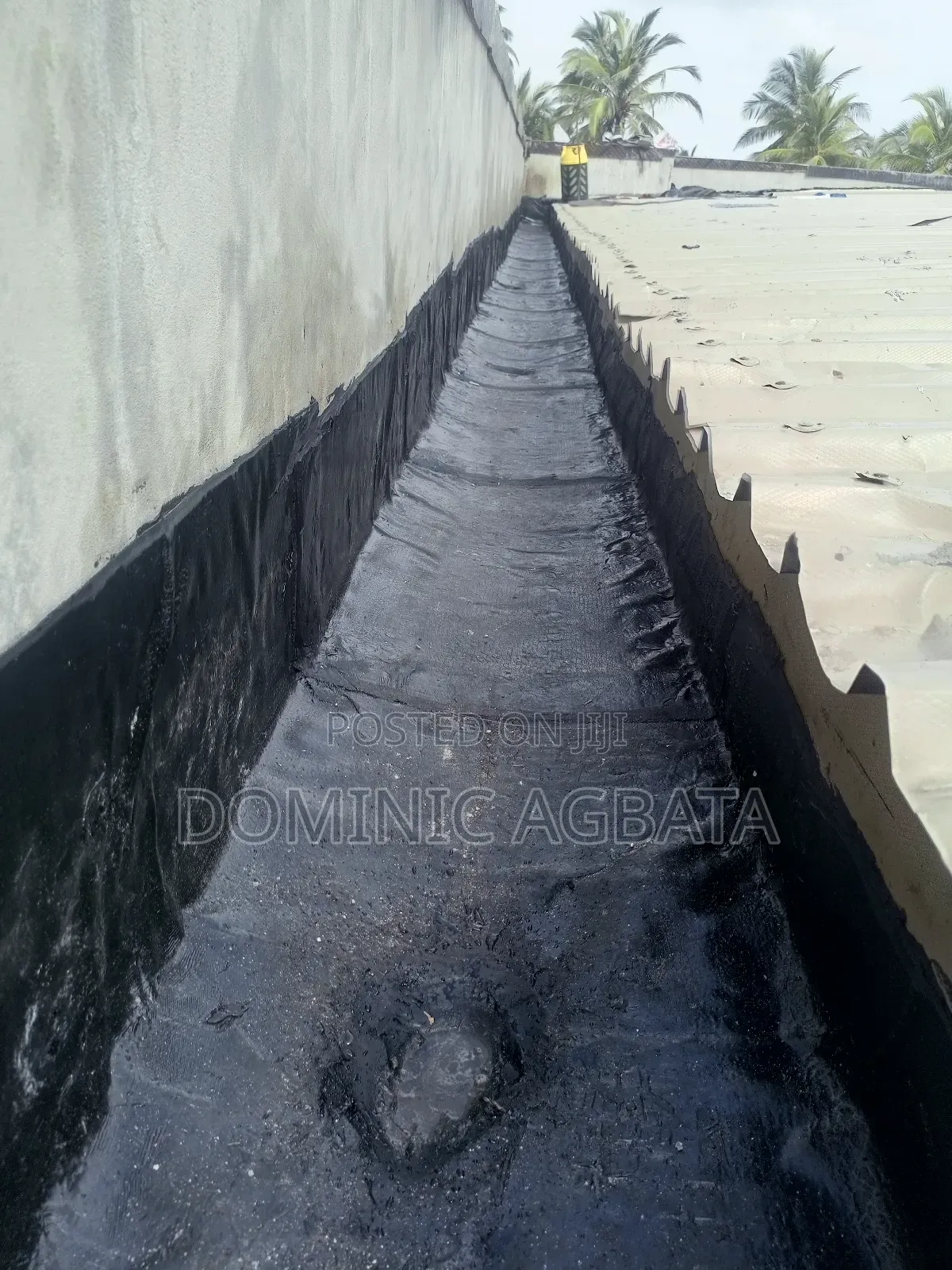 Clinician Roof-Waterproofing Expert