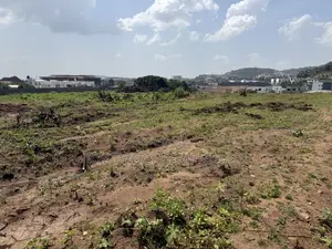 9 Hectares on Tarred Road for Sale at Idu