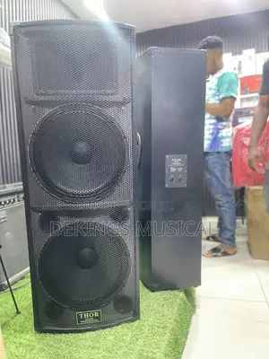 Thor Professional Full Range Speaker
