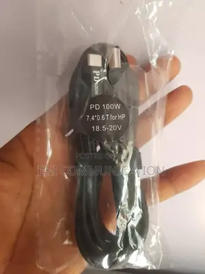 Hp Type C to Big Pin 100w Fast Charging Cable