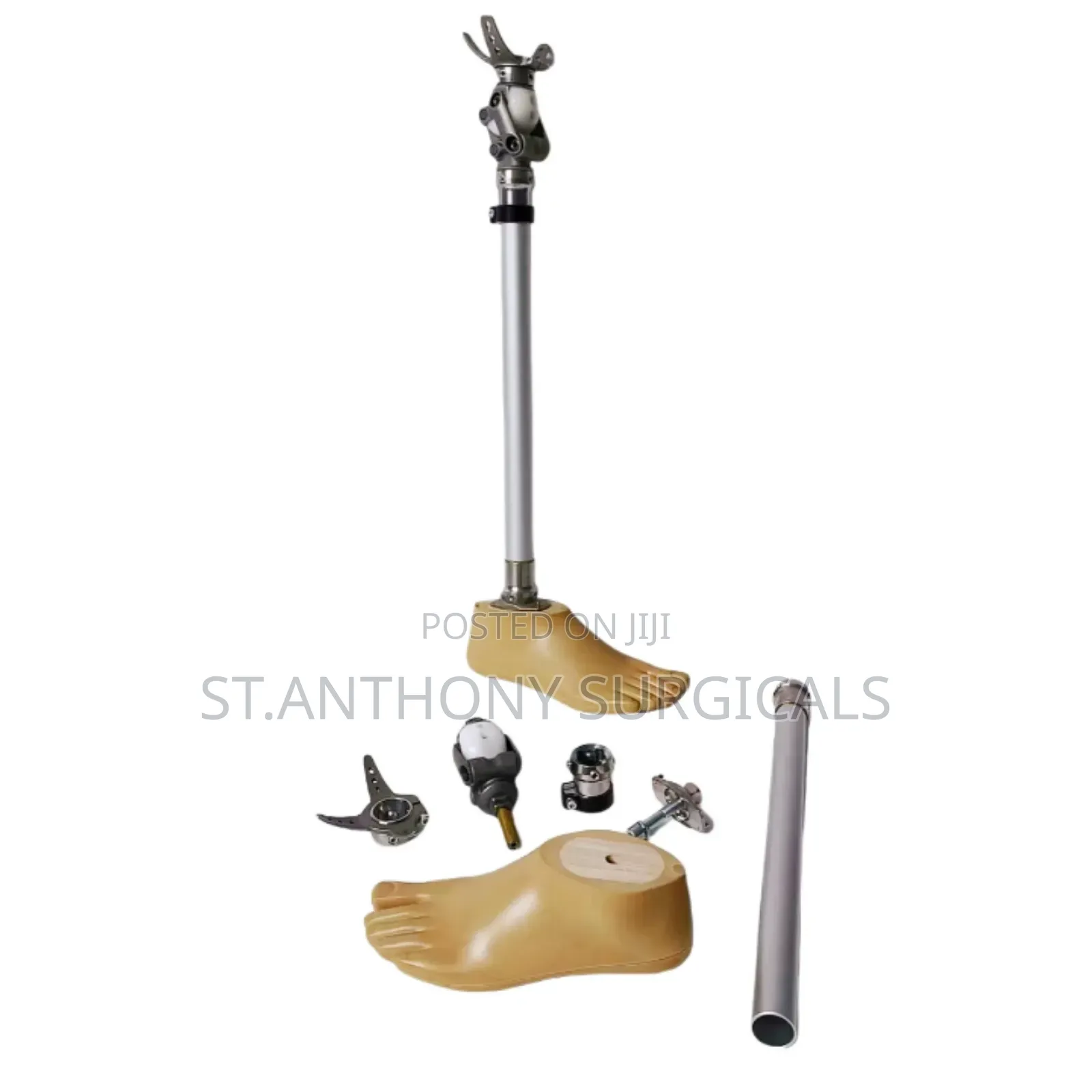 Artificial Legs, Prosthetics