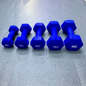 Aerobic Dumbells Available in All Kg (3,500 Per Kg )