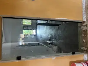 Frameless Entrance Door