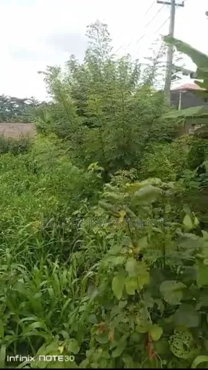 Full Plot of Land for Sale at Amuwo Odofin