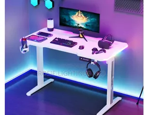Adjustable Sit to Stand Eletric Desk With Side RGB Display