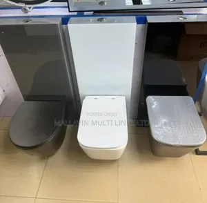 Exotic Modern Concealed Wc