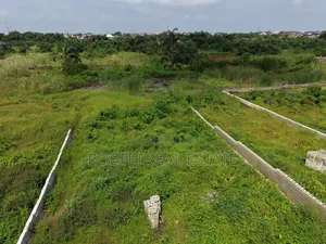 Prime Plots for Quick Grabs