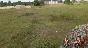 Prime Dry 648sqm Plot in Age-Mowo, Badagry Ready for Immediate Devel