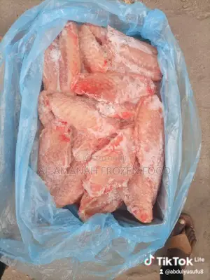 Turkey 306