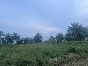 An Incredible Land Deal The Best You’Ll Ever See!